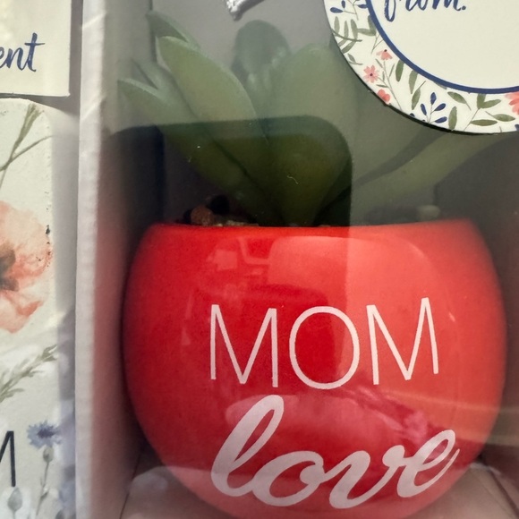 New Mom gift set photo clip and decorative succulent - Picture 3 of 3